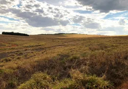 Imóvel rural Fazenda Morrinhos | Mineiros – GO | Registro nº 48.150